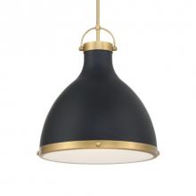 Minka-Lavery 3932-876 - 1 Light Pendant