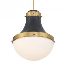 Minka-Lavery 3934-876 - 1 Light Pendant