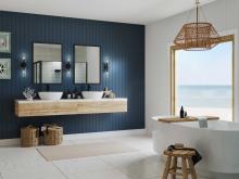 PROG_Coastal_Bathroom_P710115-31M_3D_appshot.jpg