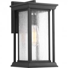 Progress P5610-31 - One-Light Medium Wall Lantern