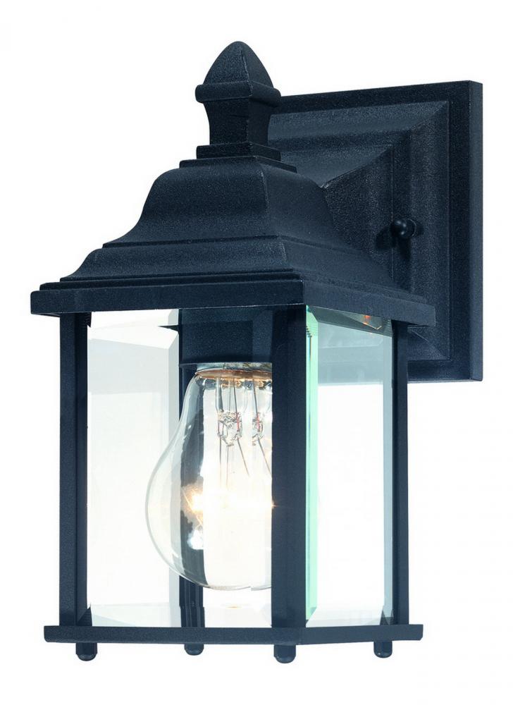 1-Light Outdoor Wall Mount