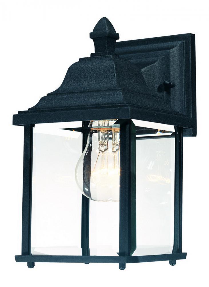 1-Light Outdoor Wall Mount