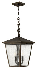 Hinkley 1432RB-LL - Large Hanging Lantern