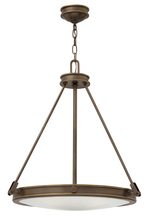 Hinkley 3384LZ - Small Pendant