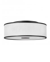 Hinkley 42010BK - Large Flush Mount